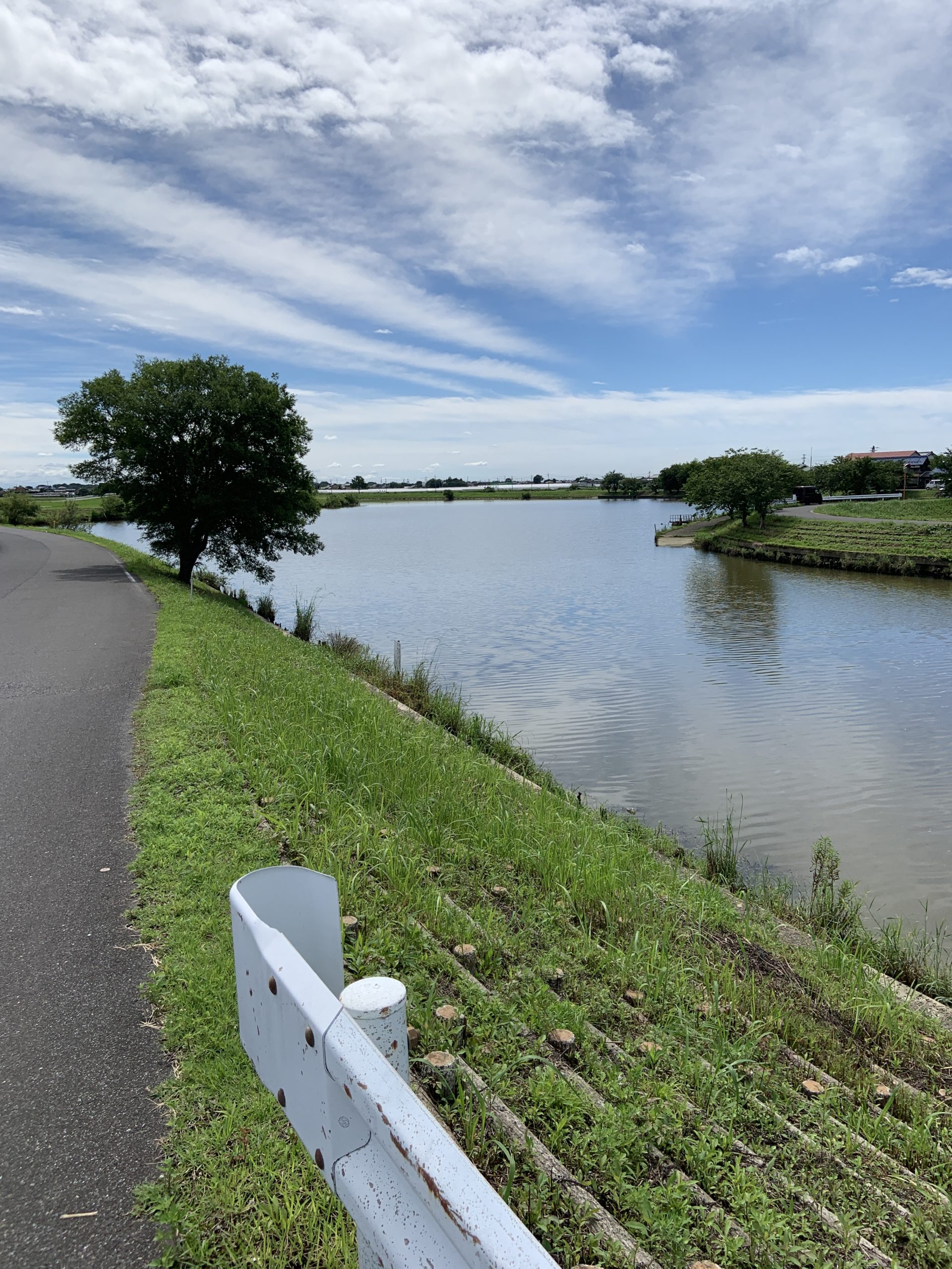 大江川 バス釣り釣行 7月16日 プラグ縛りでやり切った アメリカンルアーで知るバス釣り